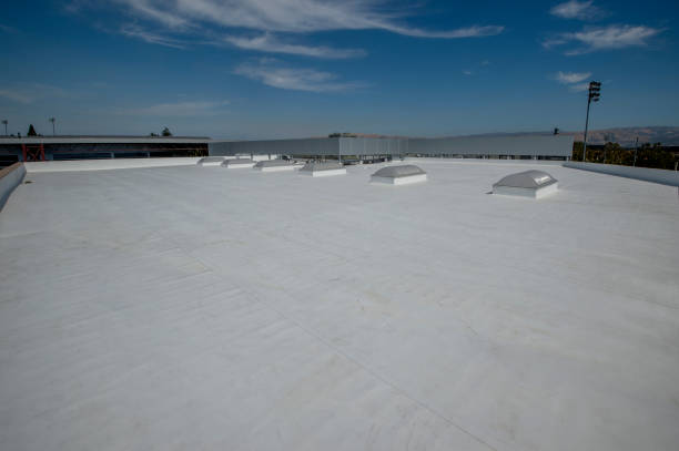 Best Gutter Installation and Repair  in Perry, MI