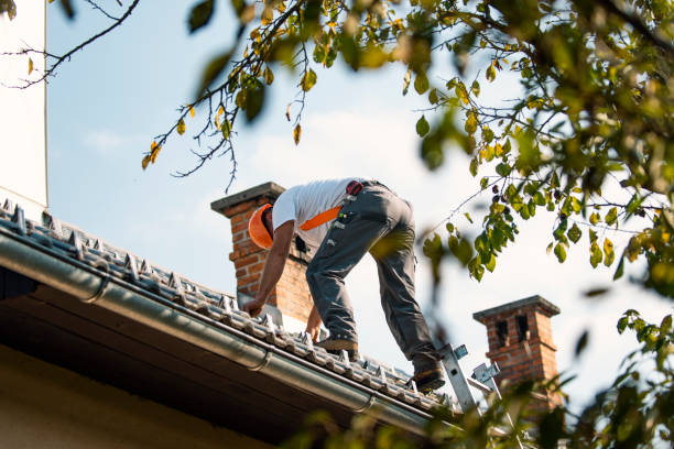 Best Gutter Replacement  in Perry, MI