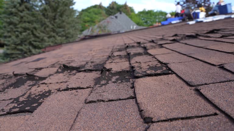 Best Steel Roofing  in Perry, MI