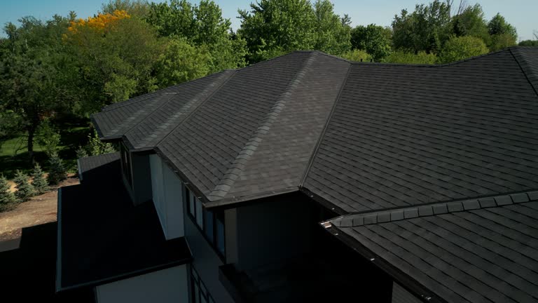 Best Roof Moss and Algae Removal  in Perry, MI