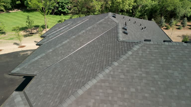 Best Storm Damage Roof Repair  in Perry, MI