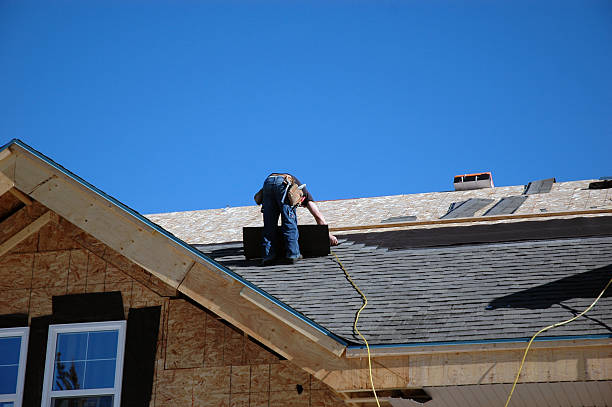 Best Roof Insulation Installation  in Perry, MI