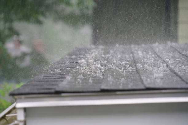 Best Asphalt Shingle Roofing  in Perry, MI
