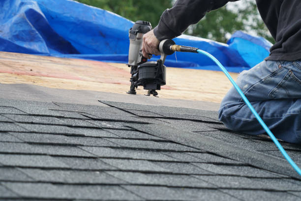 Best Emergency Roof Repair Services  in Perry, MI