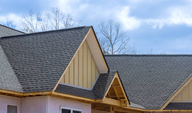 Best Solar Panel Roofing Installation  in Perry, MI