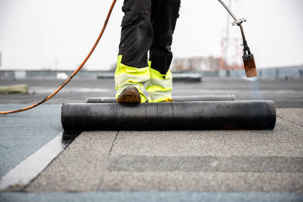Best 4 Ply Roofing  in Perry, MI