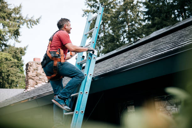 Roof Coating Services in Perry, MI