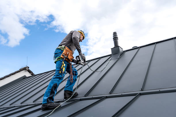 Asphalt Shingles Roofing in Perry, MI